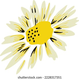 Cute daisy illustration vector design