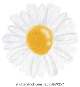 A Cute Daisy Watercolor Illustration, Flower Art, Sticker
