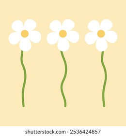 Cute daisy wildflower blanch collection for decor, easter, sticker, clipart, print.  Hand-drawn minimal flower plant illustration. Spring colorful flower elements vector. 