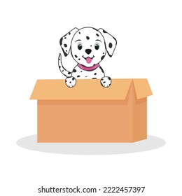 Cute dalmatian in a box. Vector illustration.