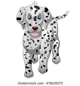 Cute Dalmatian Dog