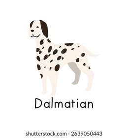Cute Dalmatian dog illustration, isolated on a white background.  Perfect for children's books, pet-related designs, or educational materials. This simple, flat design is easily adaptable
