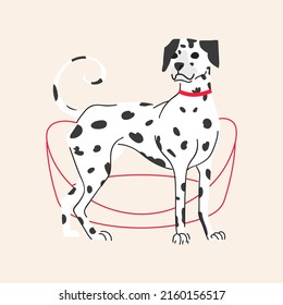 Cute Dalmatian dog isolated on beige background. Vector style flat cartoon illustration svg