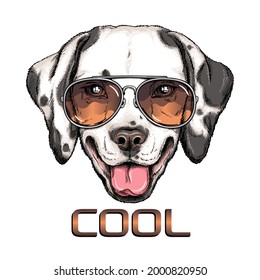 犬 サングラス のイラスト素材 画像 ベクター画像 Shutterstock