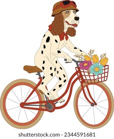 Perro dálmata lindo montando ilustraciones en bicicleta.