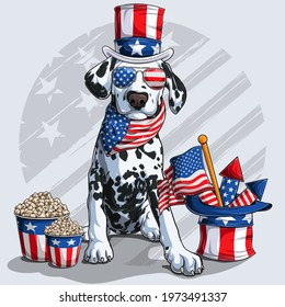 Cute Dalmatian dog sitting with American independence day elements 4th of July and memorial day 