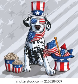 Cute Dalmatian dog sitting with American independence day elements 4th of July and memorial day