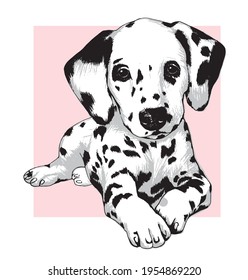Cute Dalmatian puppy dog. Hand drawn vector illustration.