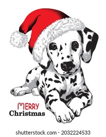 Cute Dalmatian puppy dog in red Santa hat. Christmas vector illustration.