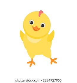 Cute dancing chicken. Yellow funny baby chick isolated on white. Vector cartoon flat illustration. 