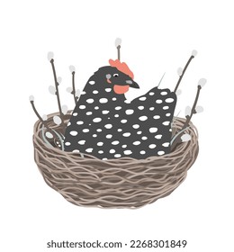 Cute dappled hen sitting in the decorated Easter nest. Spring and happy Easter card. Vector illustration isolated on white background