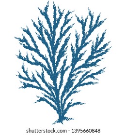 Cute dark blue algae seaweed cartoon vector illustration motif set. Hand drawn isolated coral reef elements clipart for nautical oceanology blog, plant graphic, undersea web buttons.