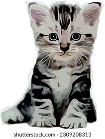 Cute, dark, fluffy kitten that looks at you