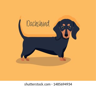 cute dashhund dog pet character
