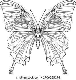 Cute decorative butterfly. Hand drawn vector. Coloring book for children and adults. Stylish ornaments. Dood and Zen, meditation, relaxation. Isolated on white background. Line art. Outline