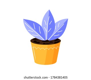 Cute decorative home plant growing in pot - flat vector illustration, isolated on white background