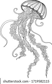 Cute decorative jellyfish. Hand drawn vector. Coloring book for children and adult. Stylish ornaments. Dood and Zen, meditation, relaxation. Isolated on white background. Line art. Outline. Sea animal