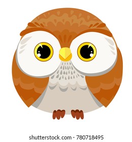 cute decorative owl vector illustration
