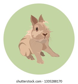 Cute decorative rabbit, vector flat style design illustration.