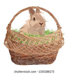 Cute decorative rabbit in wicker basket. Vector flat illustration isolated on white background.