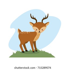 cute deer animal to natural wildlife