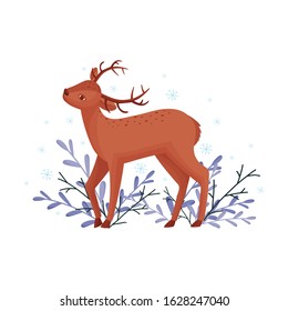 Cute Deer Animal Standing Beside Winter Flora Vector Illustration