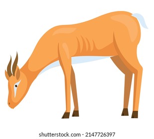 Cute deer with antlers, artiodactyl animal with horns. Standing antelope side view. Cartoon style drawing wild forest herbivorous animal. Gazelle zoo and nature concept, brown springbok, hoofed mammal