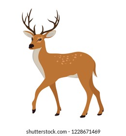 Cute deer with antlers. Cartoon style drawing