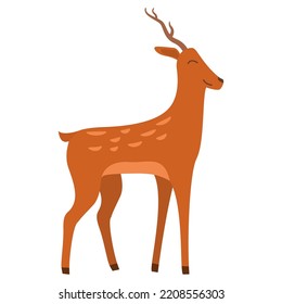 Cute deer with antlers. Hand drawn wild animal.Isolated on a blue background.Character cartoon vector illustration artwork, children books.
