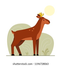 Cute deer basking in the sun
