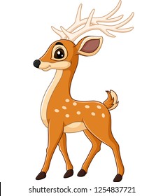 Cute deer cartoon