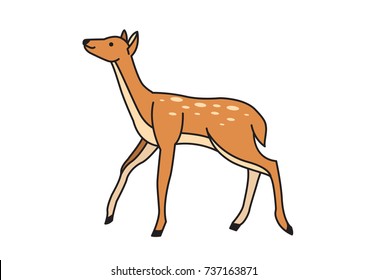 Cute deer cartoon comic wild vector character. Caribou, reindeer character wild animal ren