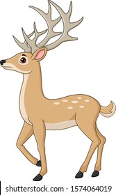 Cute deer cartoon isolated on white background