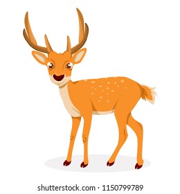 Cute Deer Cartoon Vector Illustration. Cervidae.