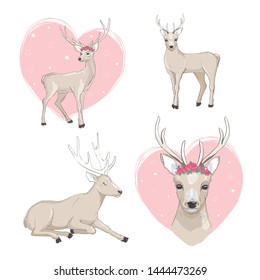 Cute deer cartoon vector set. 