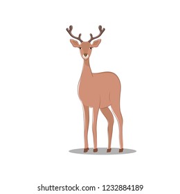 Cute Deer character on white background, vector