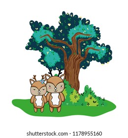 cute deer couple animal and tree