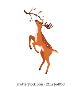 Cute deer eating, stretching to berry branch. Baby reindeer. Graceful spotted horny fawn. Adorable bambi animal standing on hind legs. Colored flat vector illustration isolated on white background