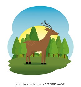 cute deer in the field scene