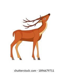 Bambi の画像 写真素材 ベクター画像 Shutterstock