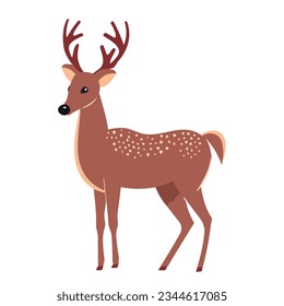 Cute deer isolated on white background. Vector illustration.