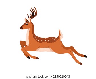 Cute deer jumping over, running. Happy baby reindeer in motion. Graceful dotted fawn moving. Profile of spotted horny forest animal. Colored flat vector illustration isolated on white background