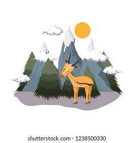 cute deer in the landscape