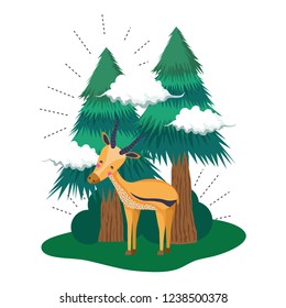 cute deer in the landscape