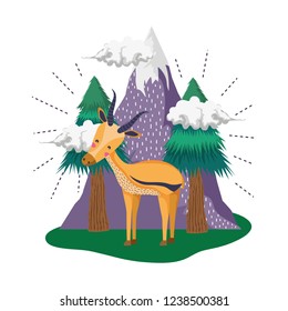cute deer in the landscape