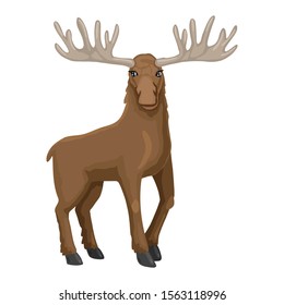 Cute deer or moose standing isolated on white background. Flat style cartoon vector illustration drawing.