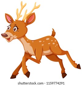 A cute deer on white background illustration