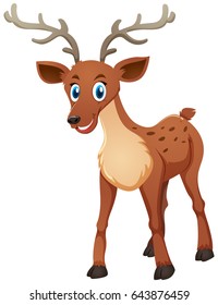 Cute deer standing on white background illustration