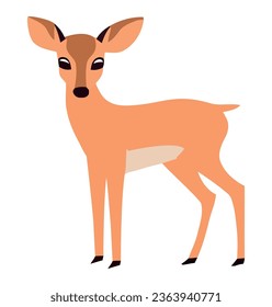 Cute deer standing over white