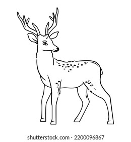 A cute deer stands on a white background. Vector illustration with cute forest animals in cartoon style. outline image